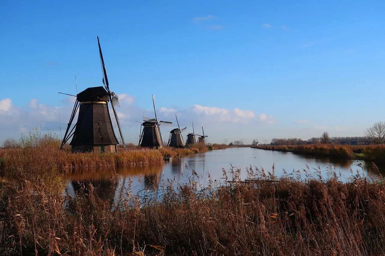 Windmühlen in einer Reihe an einem schilfgesäumten Kanal