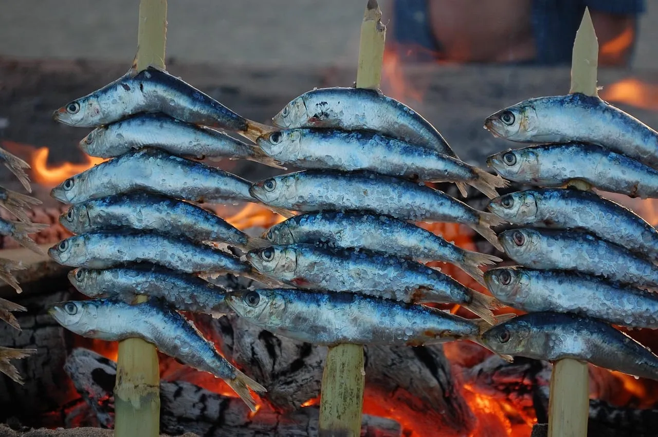 Espetos: Sardinen, auf Rohrspießen über Holzfeuer gegrillt